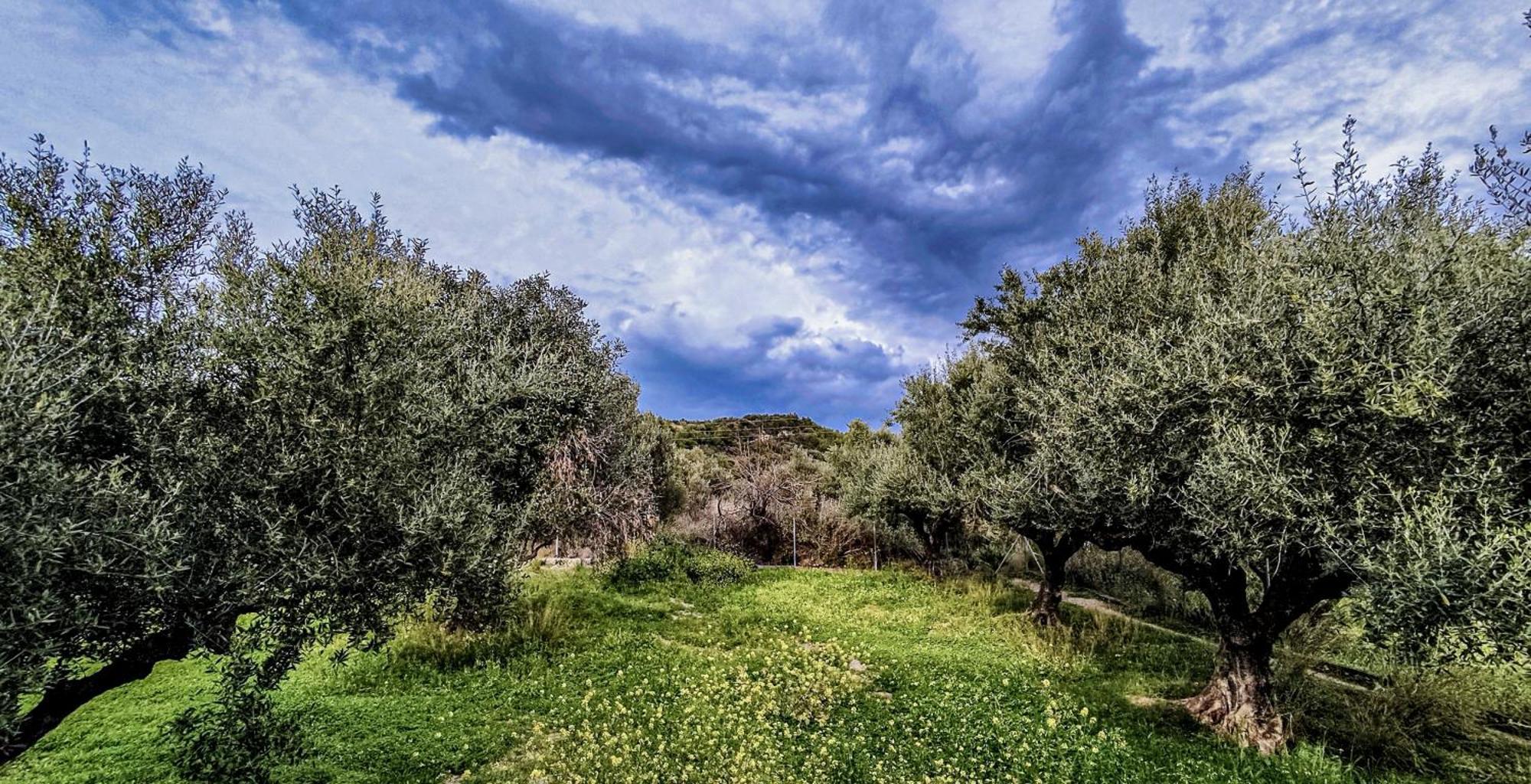 Your Spot West Peloponnese Shared Countryhouse Zacharo Zewnętrze zdjęcie
