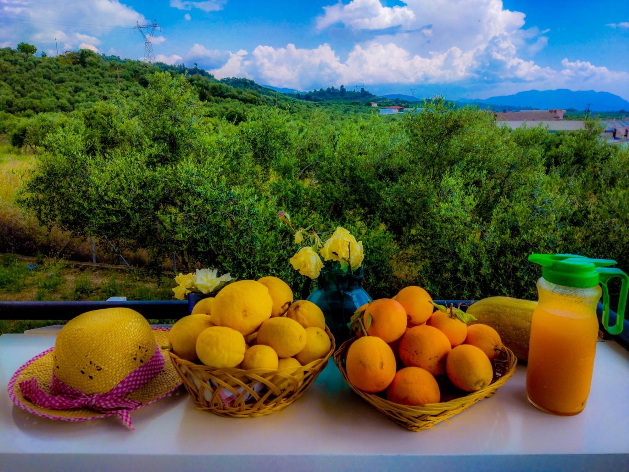 Your Spot West Peloponnese Shared Countryhouse Zacharo Zewnętrze zdjęcie