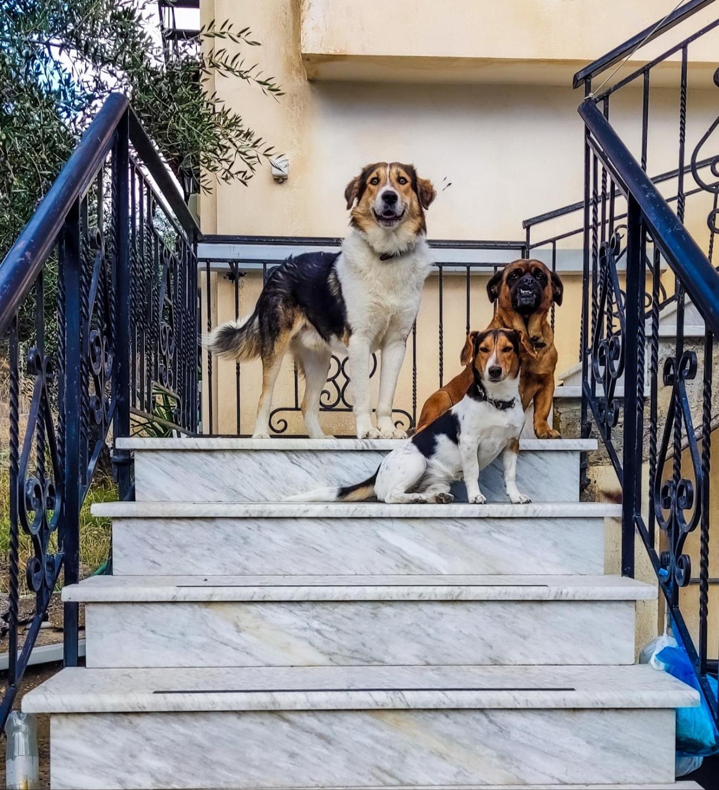 Your Spot West Peloponnese Shared Countryhouse Zacharo Zewnętrze zdjęcie